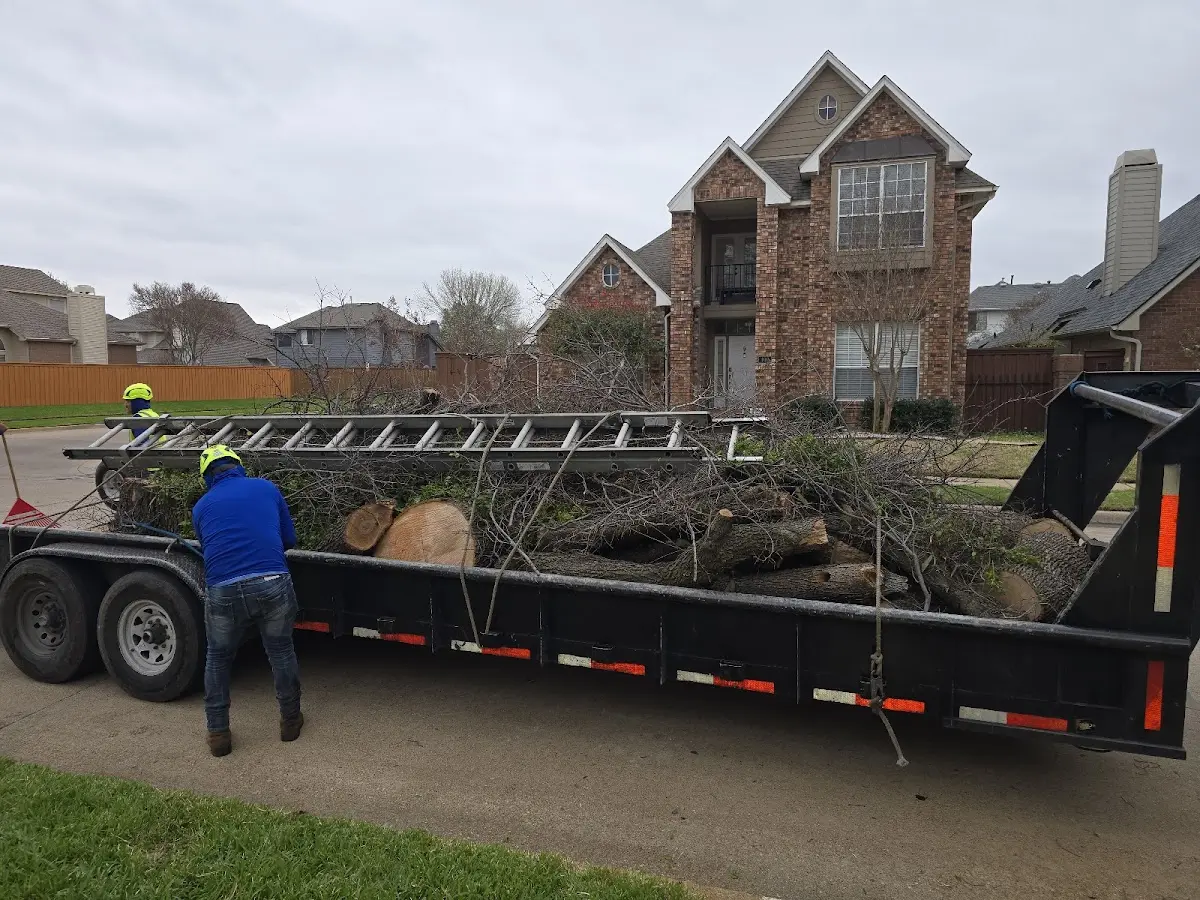 Expert Tree Fertilization with proper safety equipment in East Haddam